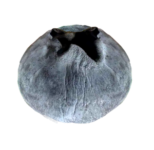 缩水