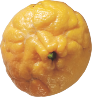 凸起