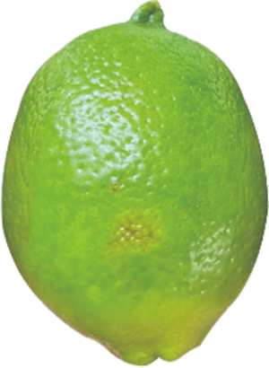 油斑