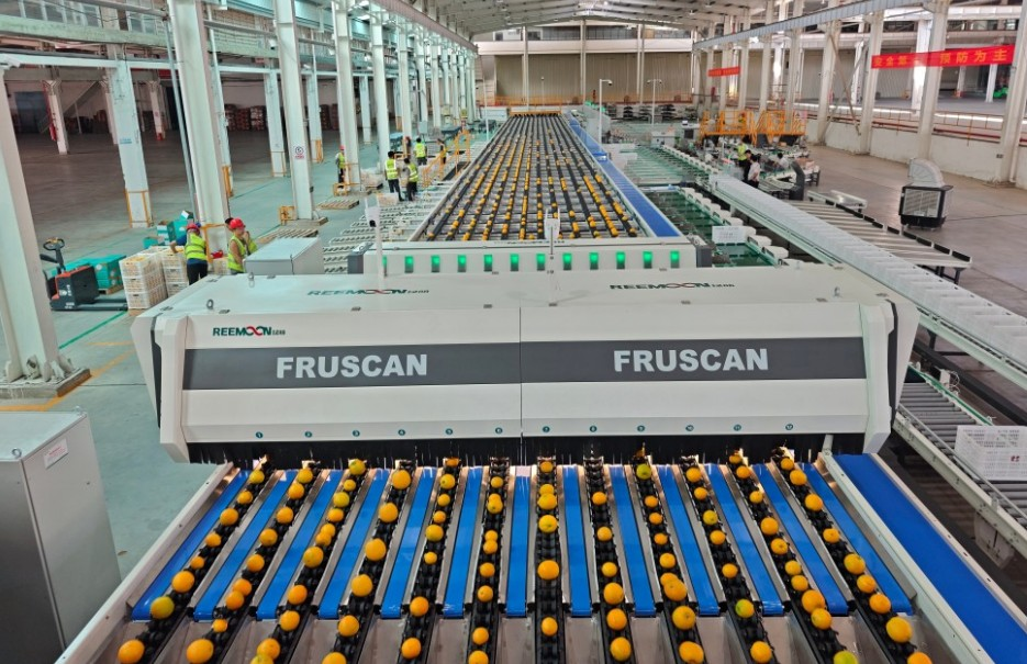 fruscan-s10-hero