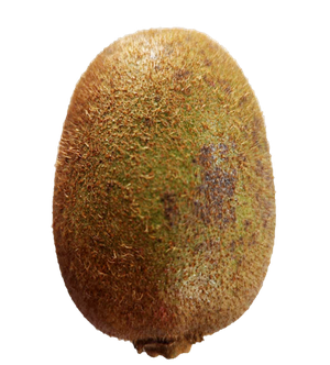 黑点