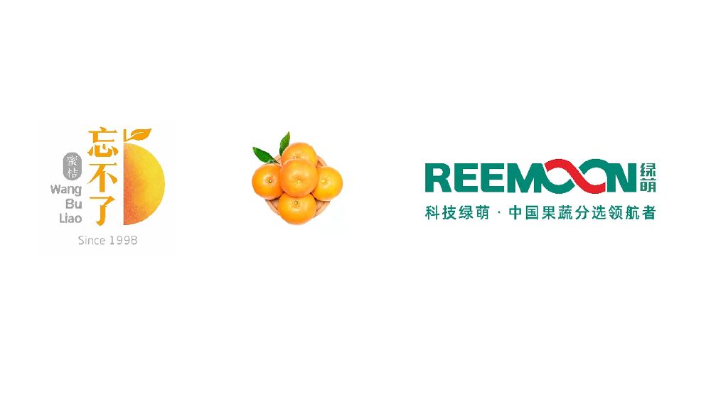 浙江 忘不了 柑橘