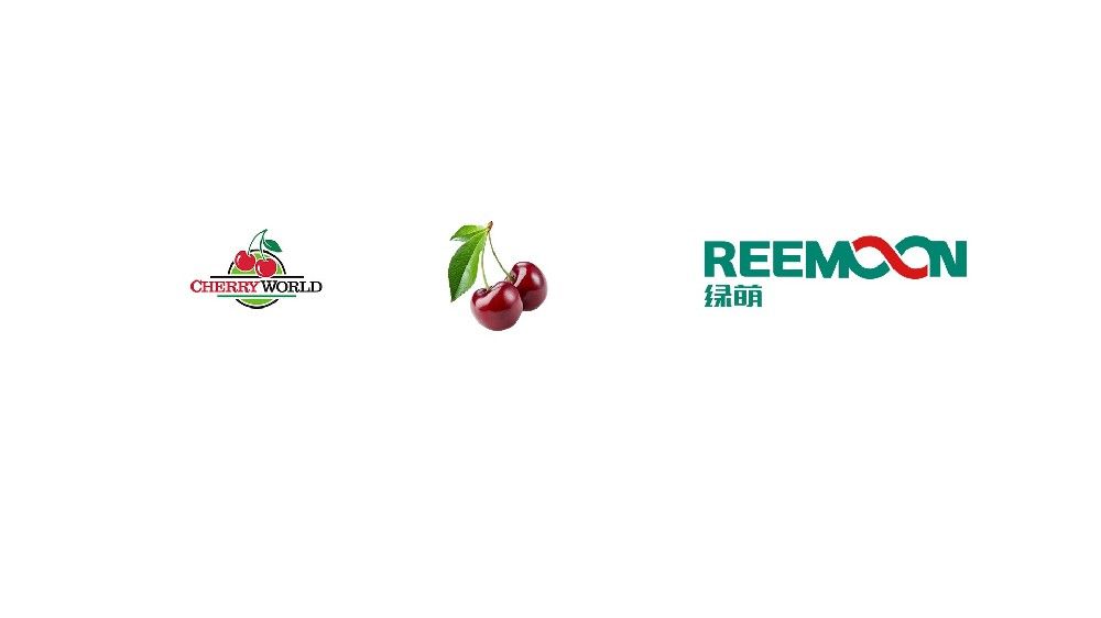 Spain Cherry World Cherry